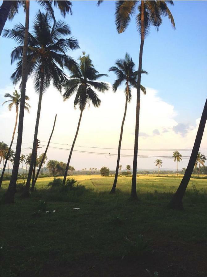 The Postcard Cuelim, Goa Hotel Cansaulim Exterior foto